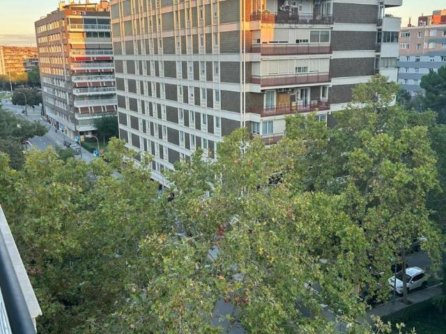 Shared Living/Roommate 1 Dormitorio Barcelona Barcelona ES102579700
