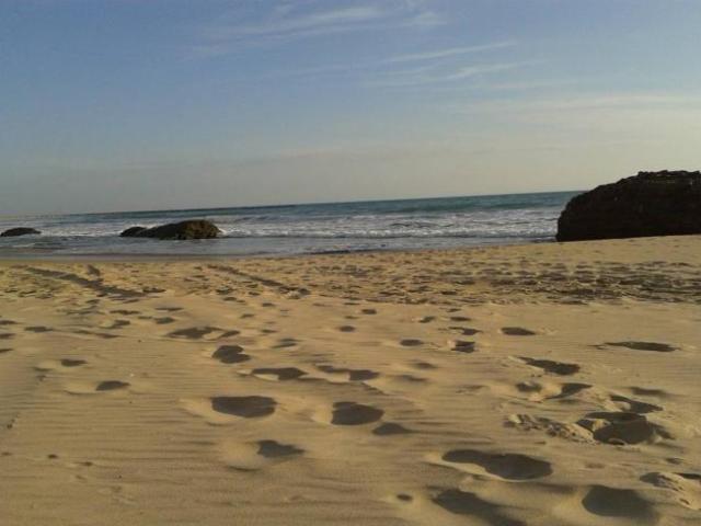 Shared Living/Roommate 1 Dormitorio Cadiz Cadiz ES101771732
