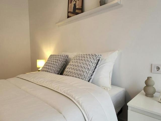 Shared Living/Roommate 1 Dormitorio Elche Elche ES103396711