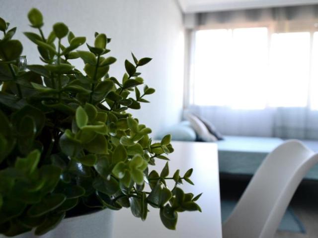 Shared Living/Roommate 1 Dormitorio Getafe Getafe ELS100721730
