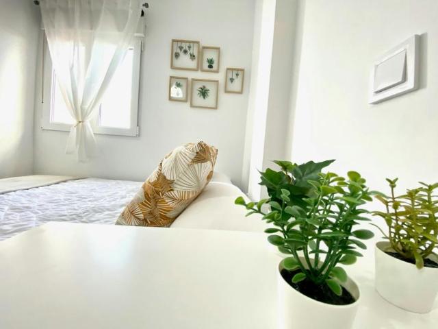 Shared Living/Roommate 1 Dormitorio Getafe Getafe ES99636483