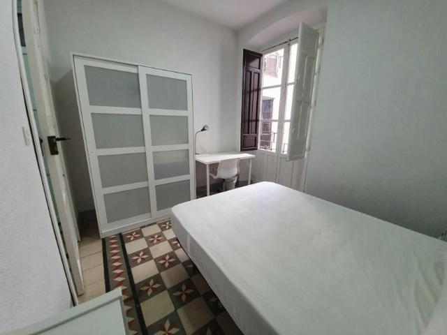 Shared Living/Roommate 1 Dormitorio Granada Granada ES100732498