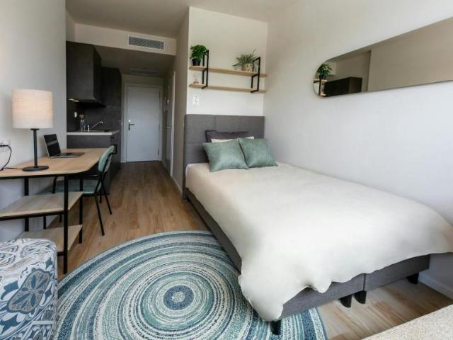 Shared Living/Roommate 1 Dormitorio Granada Granada ES102847926