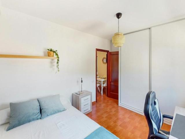 Shared Living/Roommate 1 Dormitorio Jerez De La Frontera Jerez De La Frontera ELS102854527