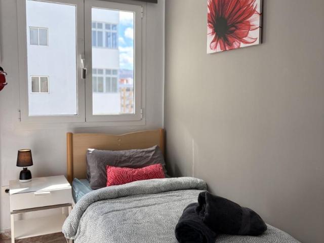 Shared Living/Roommate 1 Dormitorio Las Palmas De Gran Canaria Las Palmas De Gran Canaria ES104257730