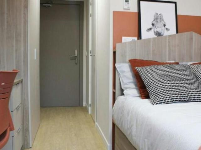 Shared Living/Roommate 1 Dormitorio Pamplona Pamplona ES102854848