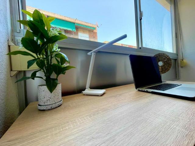 Shared Living/Roommate 1 Dormitorio San Vicent Del Raspeig San Vicent Del Raspeig ELS102853415