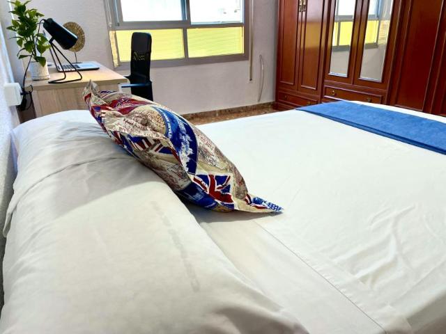 Shared Living/Roommate 1 Dormitorio San Vicent Del Raspeig San Vicent Del Raspeig ES102814788