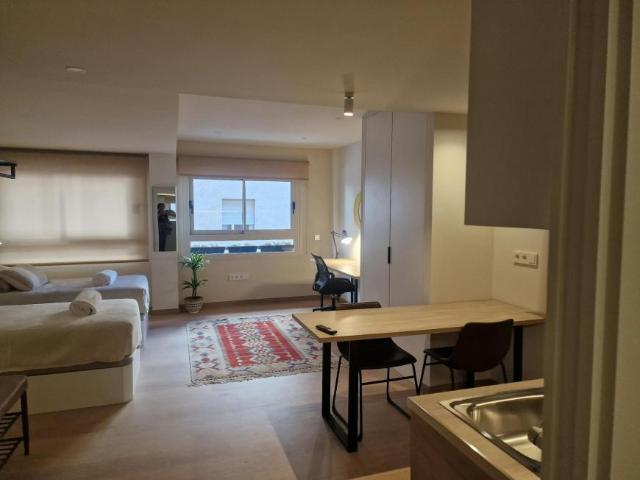 Shared Living/Roommate 1 Dormitorio Sant Vicent Del Raspeig Sant Vicent Del Raspeig ELS95744094