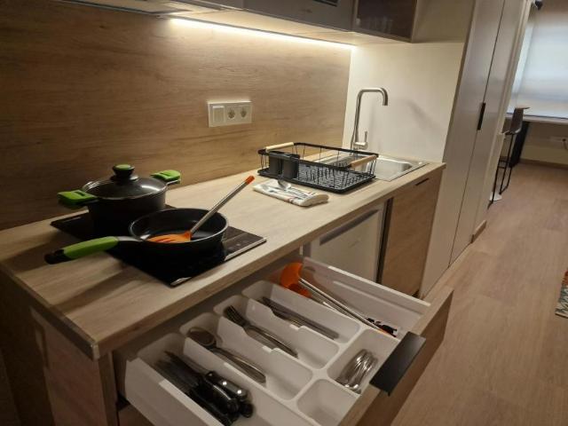 Shared Living/Roommate 1 Dormitorio Sant Vicent Del Raspeig Sant Vicent Del Raspeig ES94993060
