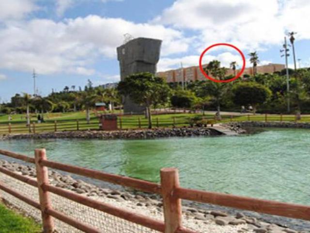 Shared Living/Roommate 1 Dormitorio Santa Cruz De Tenerife Santa Cruz De Tenerife ES102664057