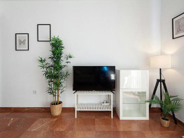 Shared Living/Roommate 1 Dormitorio Sevilla Sevilla ES102854016