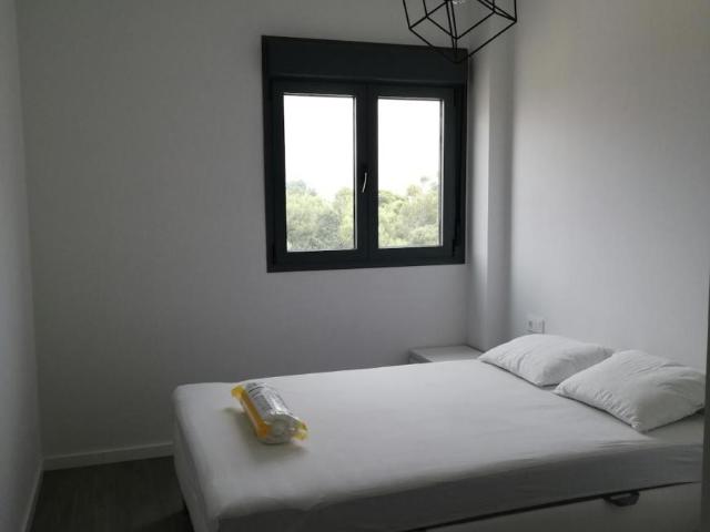 Shared Living/Roommate 1 Dormitorio Torrent Torrent ES102848101