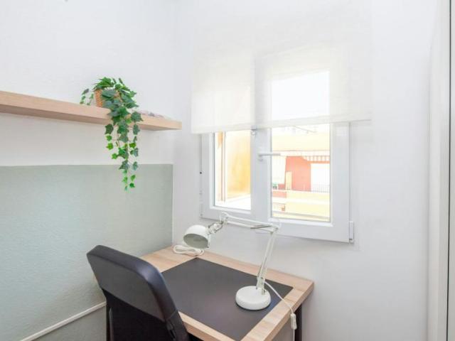 Shared Living/Roommate 1 Dormitorio Valencia Valencia ELS100715248