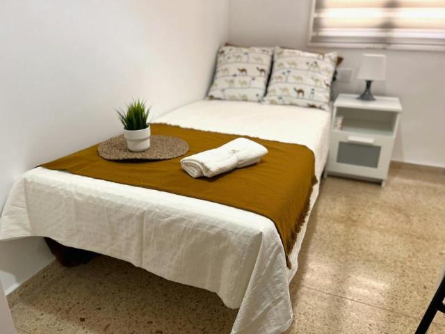 Shared Living/Roommate 1 Dormitorio Valencia Valencia ELS101848744