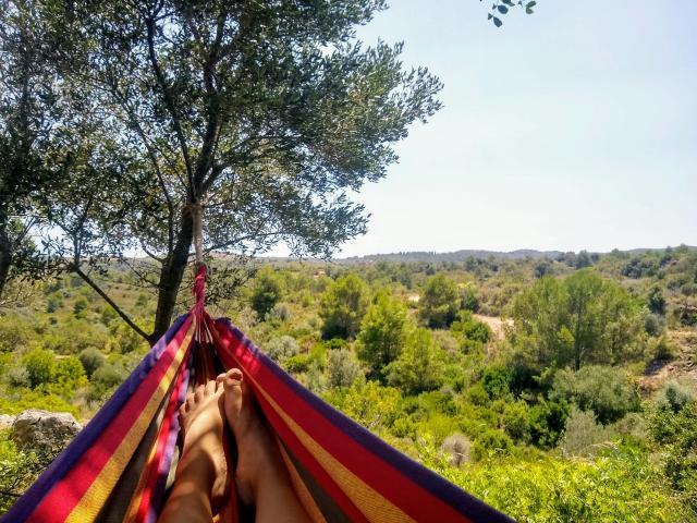 Shared Living/Roommate 1 Dormitorio Valencia Valencia ES79082597