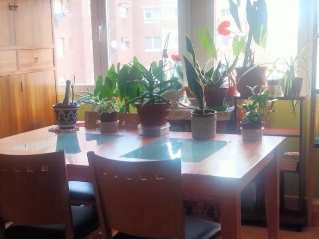Shared Living/Roommate 1 Dormitorio Valladolid Valladolid ES104364393