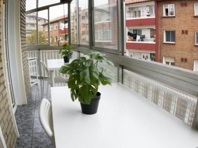 Shared Living/Roommate 1 Dormitorio Zaragoza Zaragoza ELS85185175