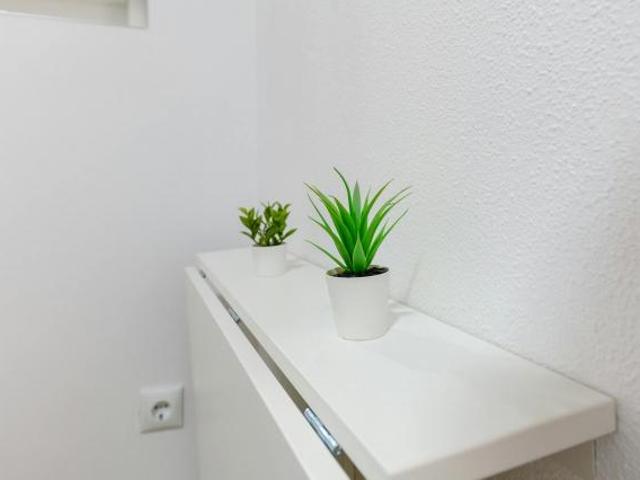 Shared Living/Roommate 1 Dormitorio Zaragoza Zaragoza ELS85518403