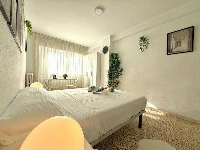 Shared Living/Roommate 1 Dormitorio Zaragoza Zaragoza ELS85579260