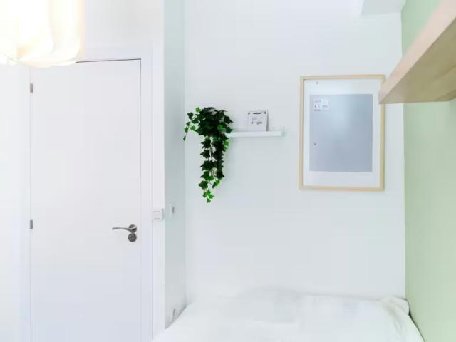 Shared Living/Roommate 1 Dormitorio Zaragoza Zaragoza ES100384601