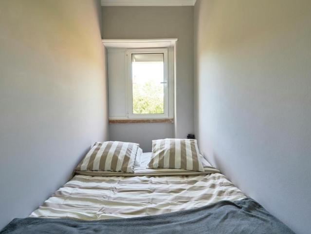shared living/roommate 1 quarto, Amadora Amadora 2700 DS102855696