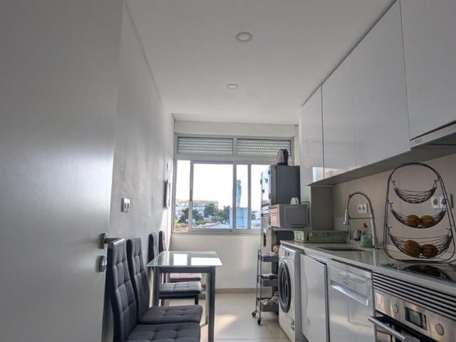 shared living/roommate 1 quarto, Amora Amora DS101228277