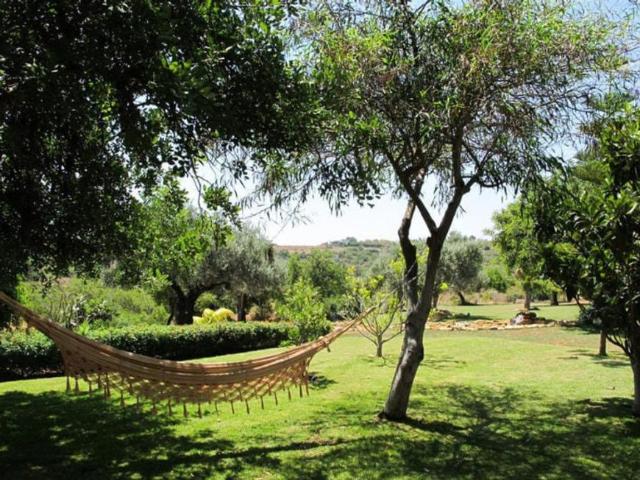 shared living/roommate 1 quarto, Faro Faro ES99384746