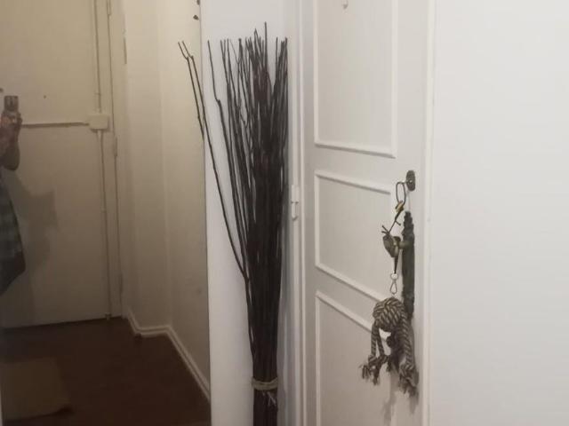 shared living/roommate 1 quarto, Lisbon Lisbon 1500 510 DLS101306026