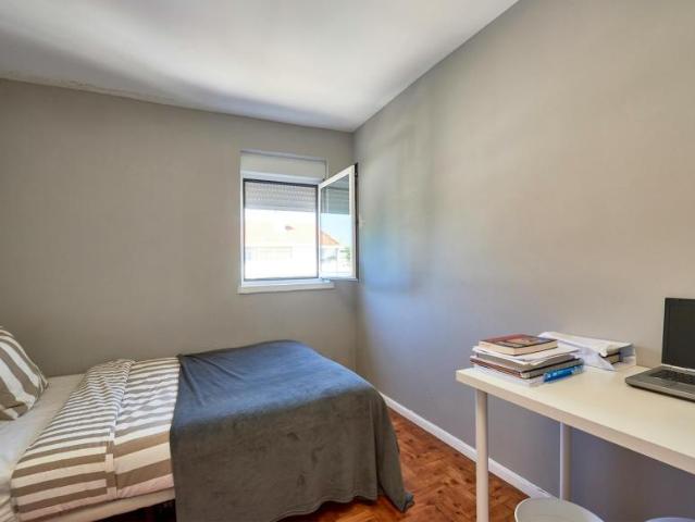 shared living/roommate 1 quarto, Lisbon Lisbon 1950 054 DS100730843