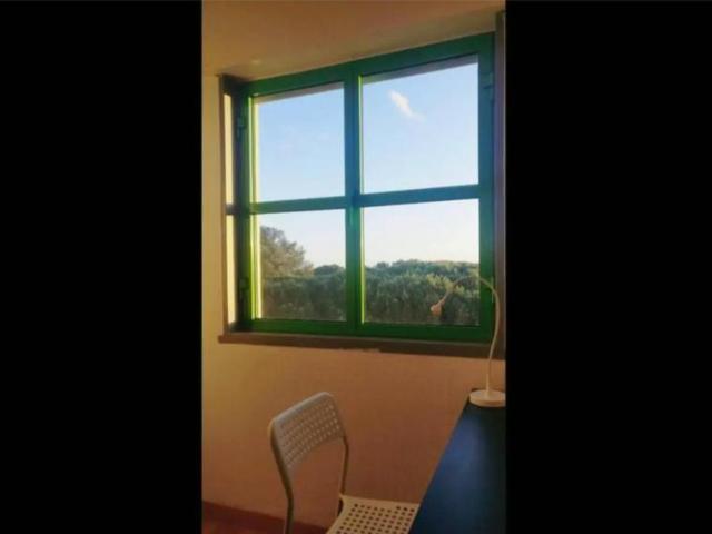 shared living/roommate 1 quarto, Lisbon Lisbon 1950 080 DS102852754