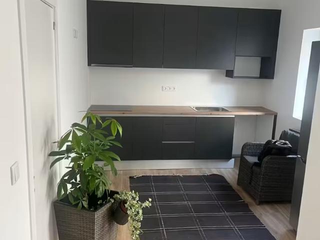 shared living/roommate 1 quarto, Maia Maia 4475 478 DS95981723