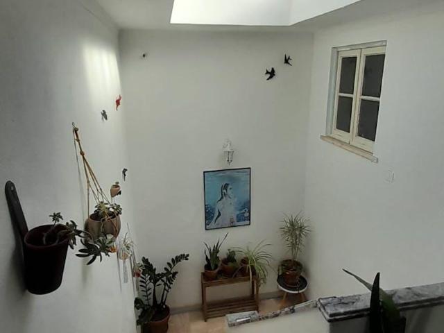 shared living/roommate 1 quarto, Setúbal Setúbal 2900 348 DS100415620