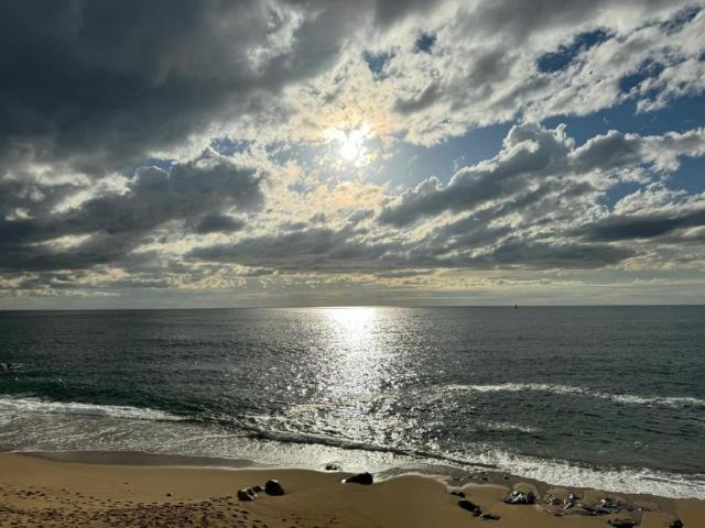 shared living/roommate 1 quarto, Porto Porto DS102850121