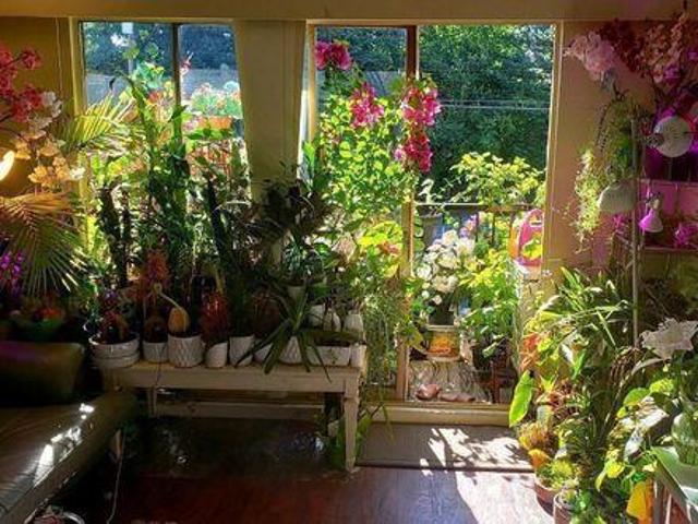 Shared Living/roommate 2 Bedroom For Rent Coquitlam BC 489 ES91272649
