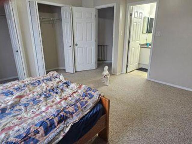 Shared Living/roommate 2 Bedroom For Rent Edmonton AB 850 ES97418811
