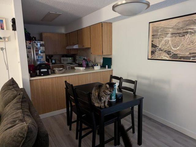 Shared Living/roommate 2 Bedroom For Rent Surrey BC 950 ELS97418599