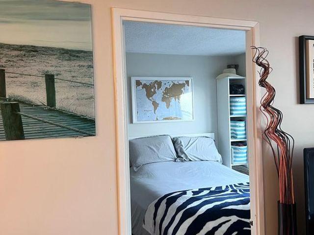 Shared Living/roommate 2 Bedroom For Rent Toronto ON 1600 ELS97420936