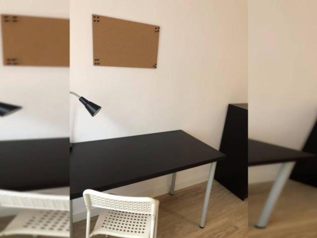 Shared Living/Roommate 4 Dormitorio Oviedo Oviedo ELS101823853