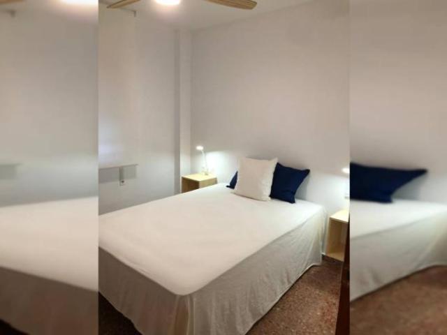 Shared Living/Roommate 4 Dormitorio Alicante Alicante ES101815806