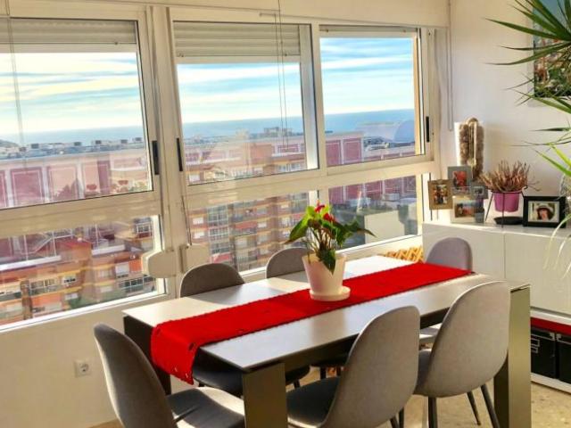 Shared Living/Roommate 4 Dormitorio Alicante Alicante ES101818895