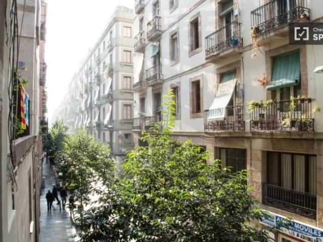 Shared Living/Roommate 4 Dormitorio Barcelona Barcelona ES101811331