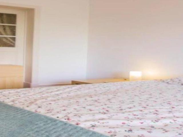 shared living/roommate 4 quarto, lisbon lisbon 1600 175 ELS101671649
