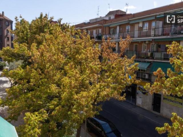 Shared Living/Roommate 5 Dormitorio Madrid Madrid ELS101813153