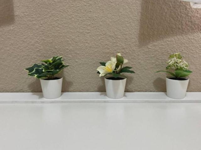 Shared Living/Roommate 5 Dormitorio Madrid Madrid ES104713690