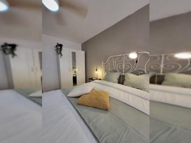 Shared Living/Roommate 5 Dormitorio Alicante Alicante ELS100012492