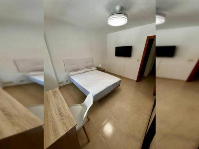 Shared Living/Roommate 5 Dormitorio Alicante Alicante ELS92397086