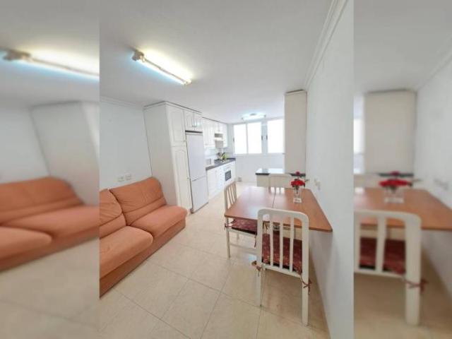 Shared Living/Roommate 5 Dormitorio Alicante Alicante ES103925573