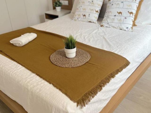 Shared Living/Roommate 5 Dormitorio Valencia Valencia ES103658262