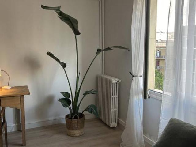 Shared Living/Roommate 6 Dormitorio Barcelona Barcelona ES79863078
